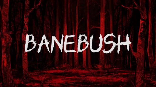 Banebush Update v1 3 001-TENOKE Download Torrent [PC GAME]
